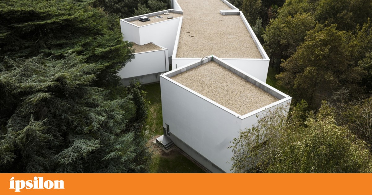 Featured image for article: Portugal's Cultural Golden Visa: Over €41M Invested in Heritage Projects