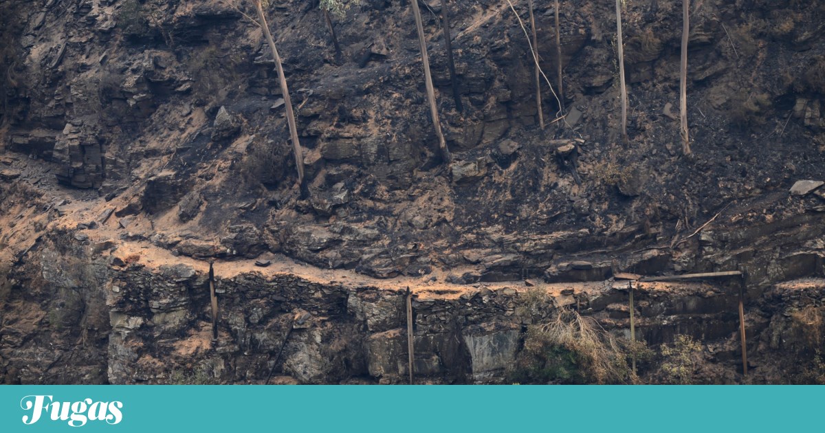 Paiva Walkways Burn for the Fourth Time: Arouca Council Seeks Protective Measures