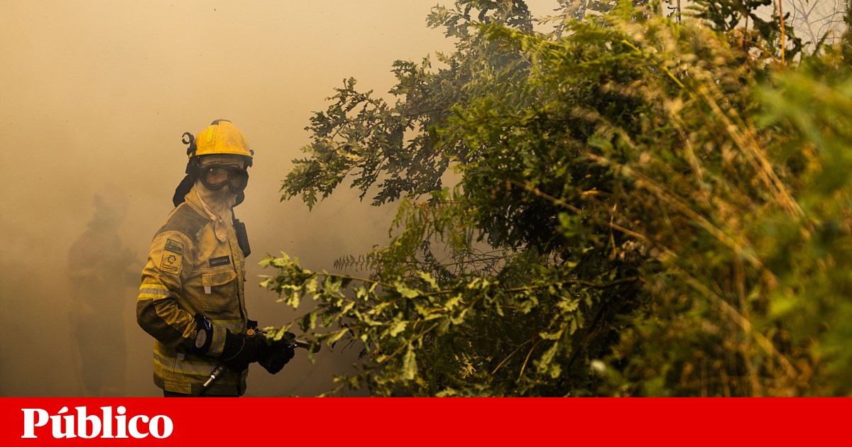 www.publico.pt