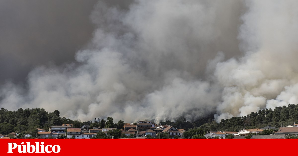 Wildfires Rage in Portugal: Vila Real Battles Blazes Threatening Villages and Natural Parks