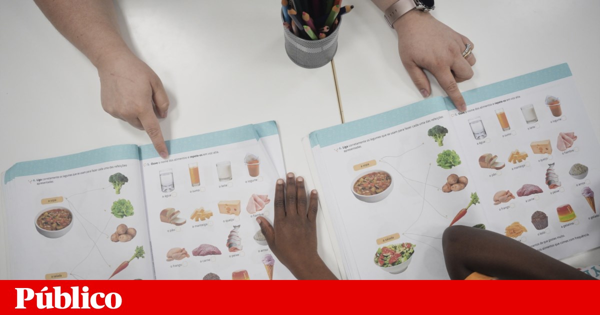 Mais de 60% dos manuais escolares do 5.º ao 12.º ano vão poder ser reutilizados