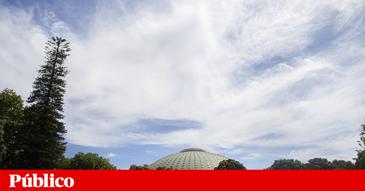 Verão no Porto: Guia Completo de Atividades para Agosto - Cinema, Desporto e Vizinhanças!
