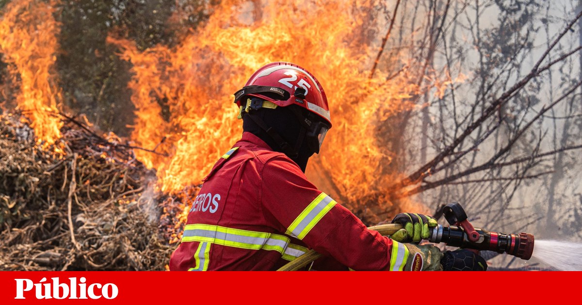 Wildfires Devastate Over 42,000 Hectares in Portugal as Six Aircraft Join Vila Real Firefight
