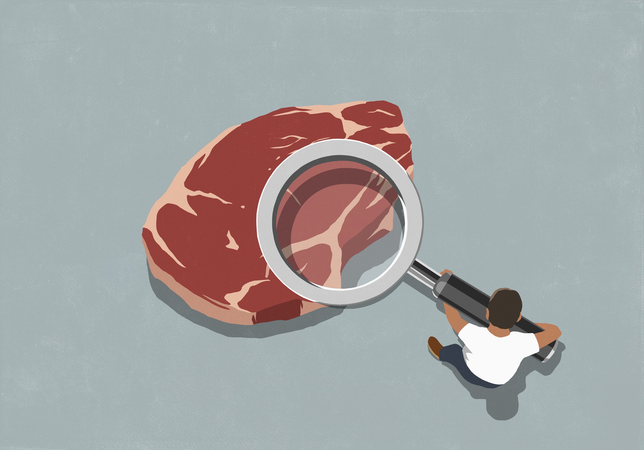 nutricao,alimentacao,opiniao,saude,investigacao-cientifica,doencas,