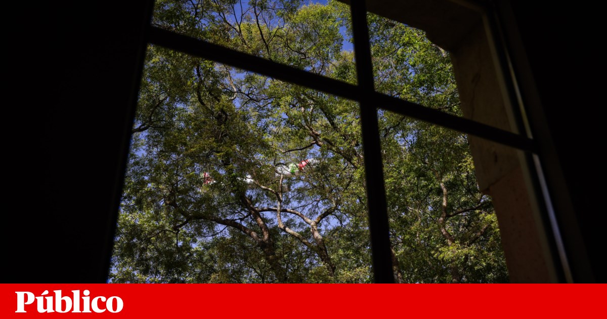 Apoio Financeiro Sem Precedentes: Estado Português Oferece 85€ Diários para Cuidados de Saúde Mental em Residências de Integração