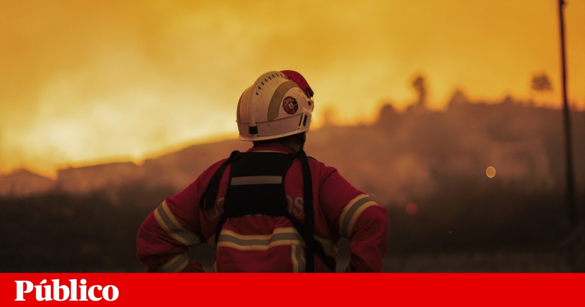 Over 1700 Firefighters Battle Blazes in Arganil, Trancoso, and Sátão as Portugal Faces Severe Wildfire Crisis