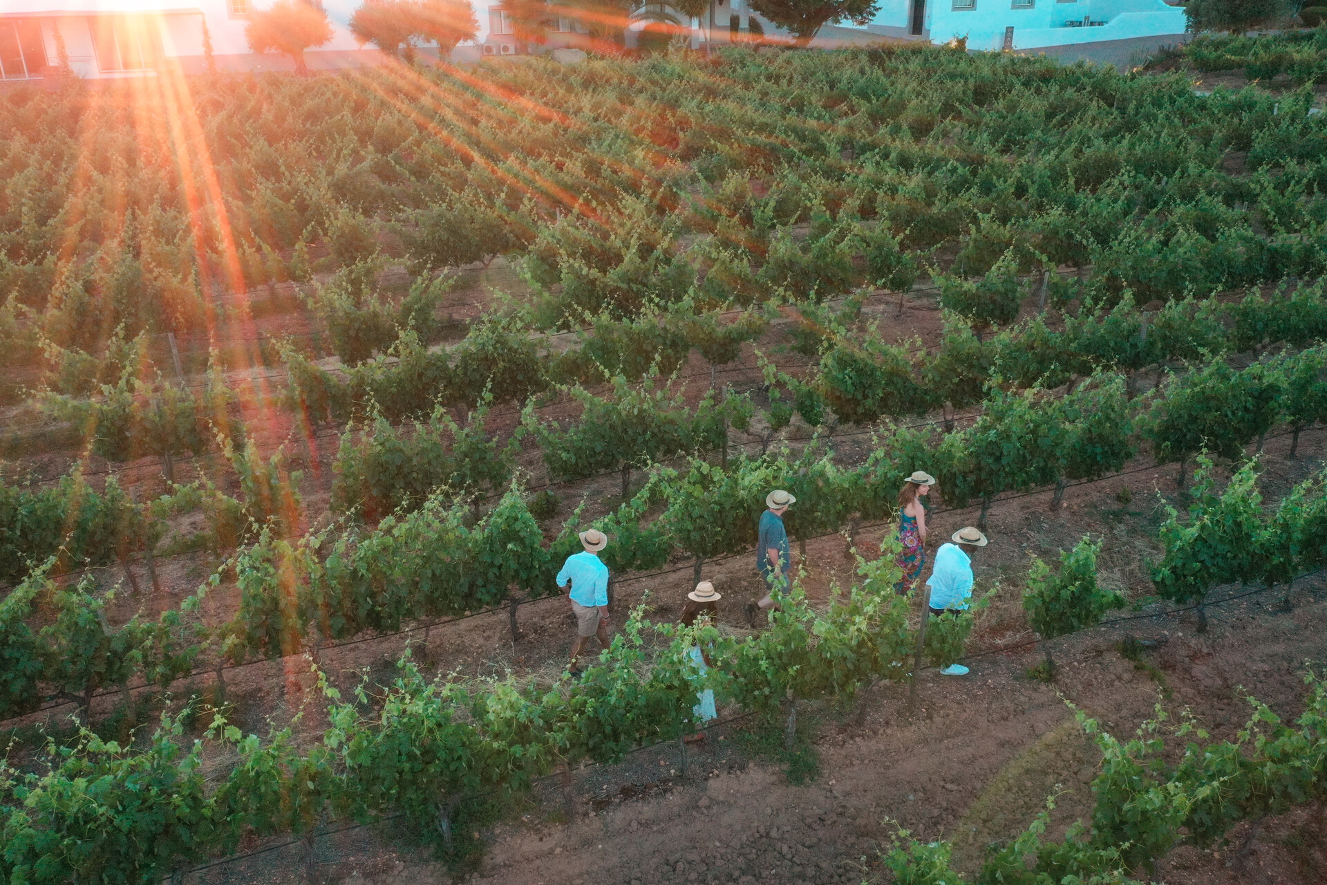 terroir,vinhos,vinhos-provas,fugas,alentejo,