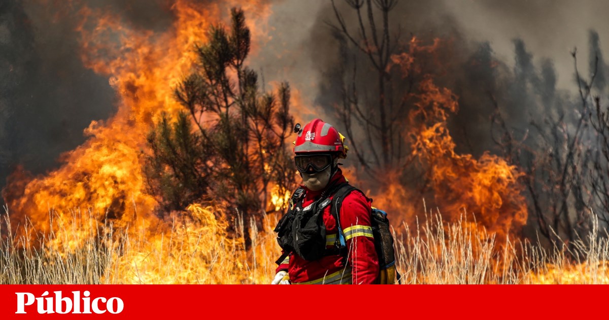 Over 3200 Firefighters Battle Nine Major Wildfires in Portugal - Critical Situation Continues