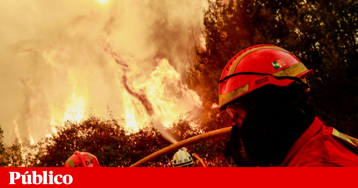 www.publico.pt
