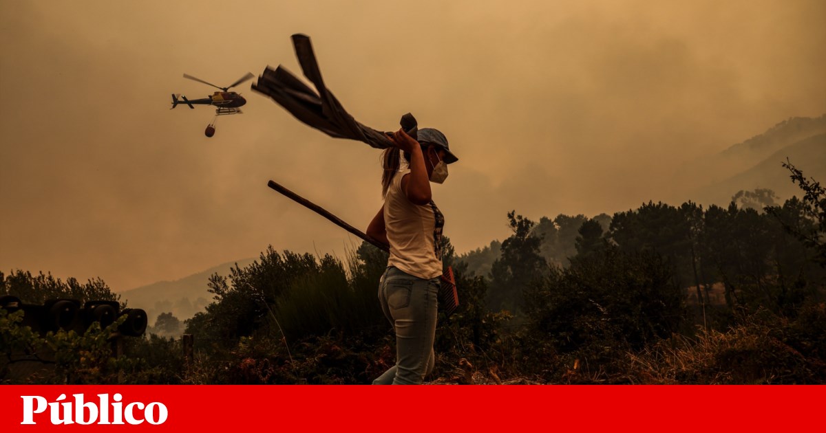 Tragic Third Fatality as Wildfires Rage Across Portugal, Consuming Over 230,000 Hectares