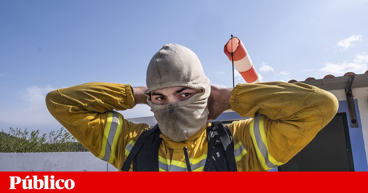 Tragic Fourth Victim of Portugal's Wildfires Was Protecting Forests for Major Paper Producers