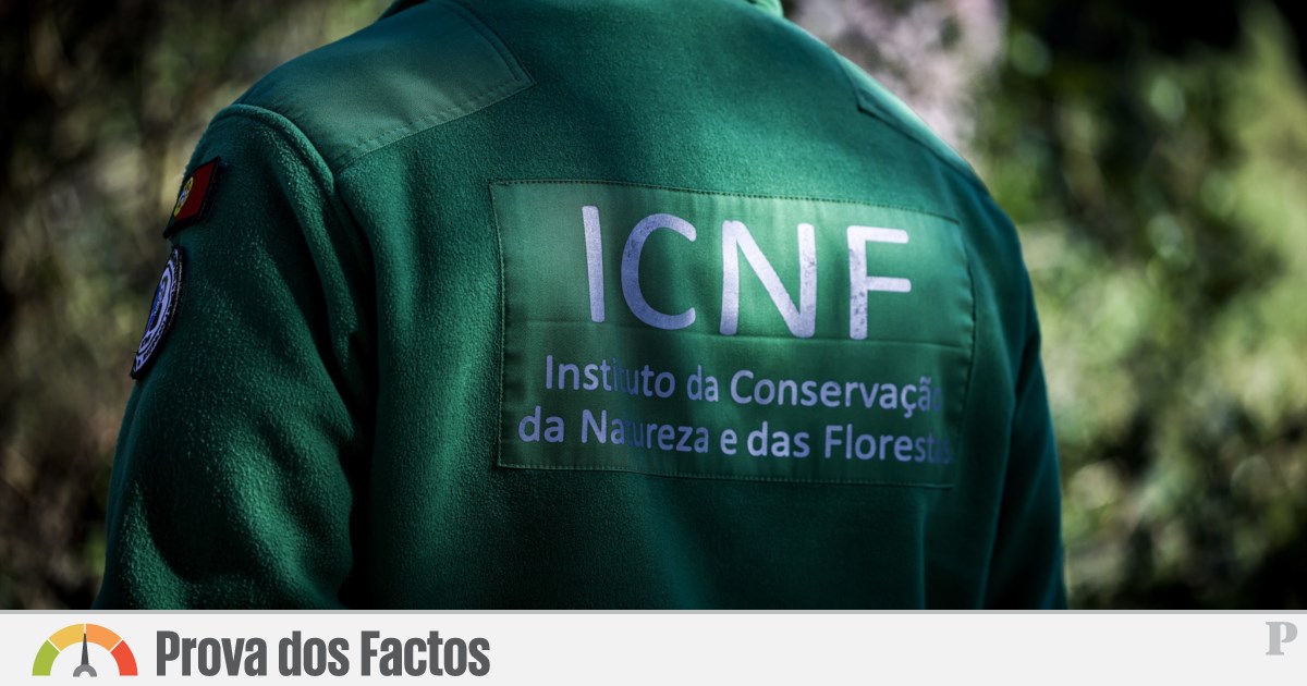 Fim da Carreira de Guarda Florestal: O Papel de Sócrates e Costa em 2006