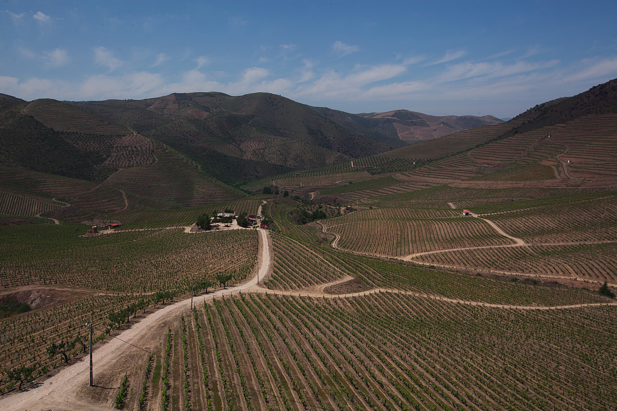 terroir,critica,vinhos,douro,fugas,