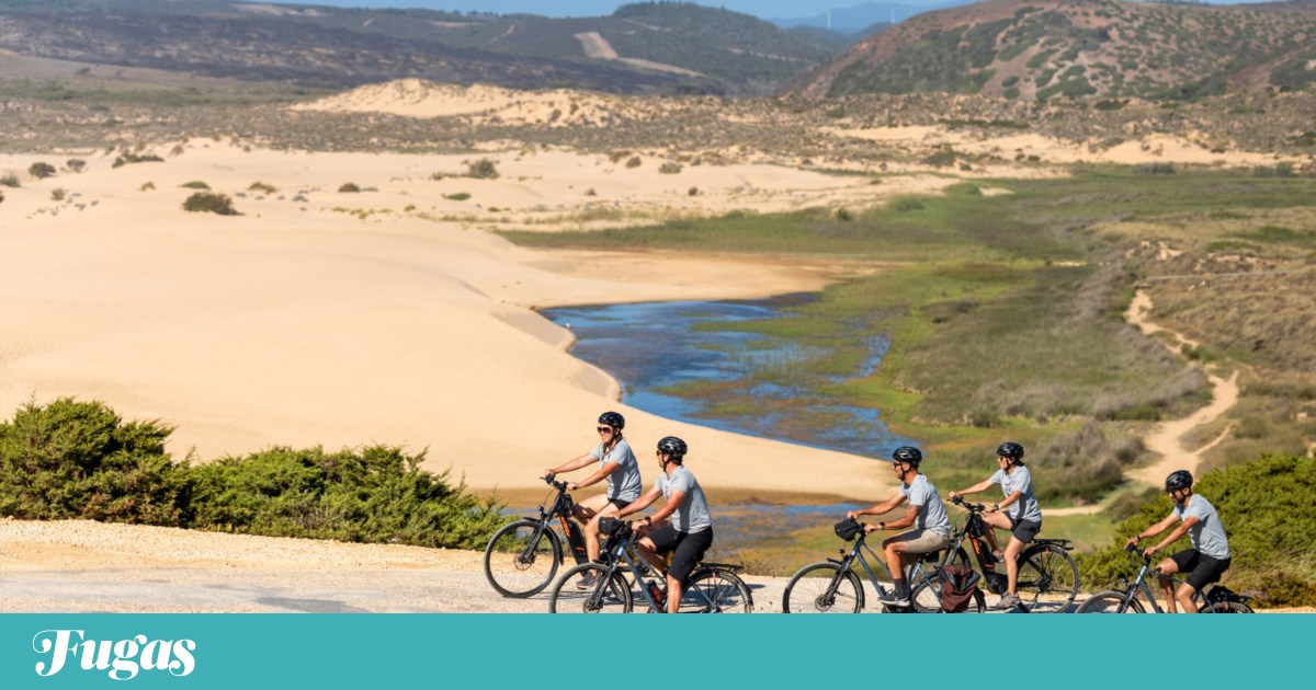Discover the Algarve Beyond the Beach: Nature Fest Offers 3 Days of Free Outdoor Adventures
