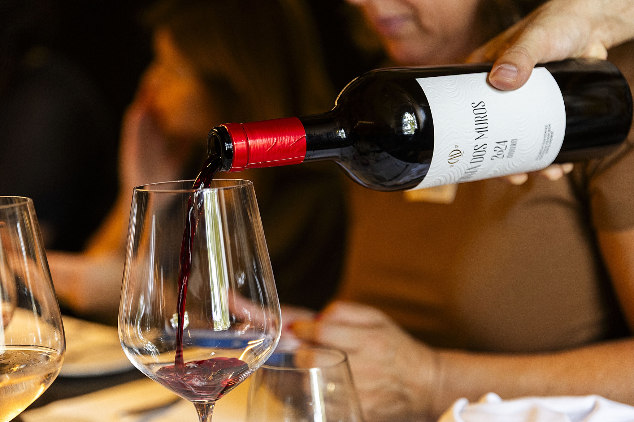 terroir,critica,vinhos,douro,fugas,