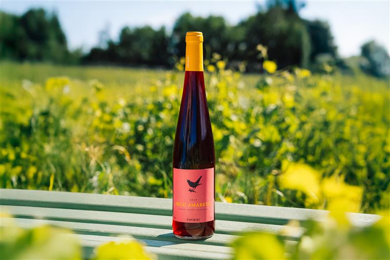 terroir,vinhos-verdes,critica,vinhos,fugas,