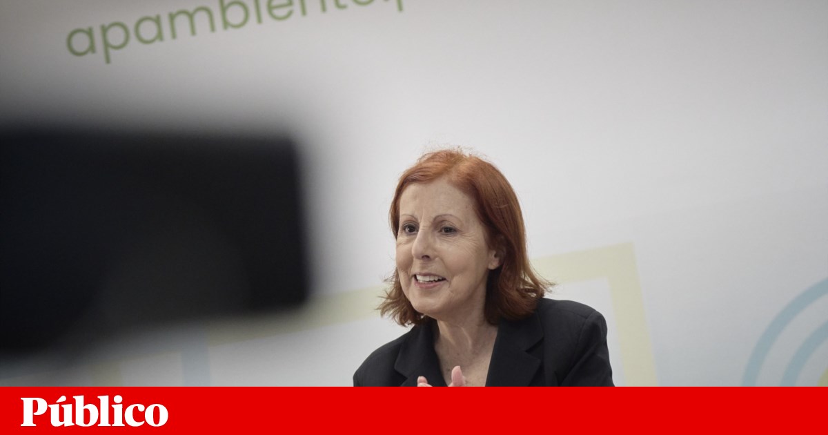 Algarve's Water Crisis: 100% Funding for Urgent Leak Reduction Projects Announced by Environment Minister