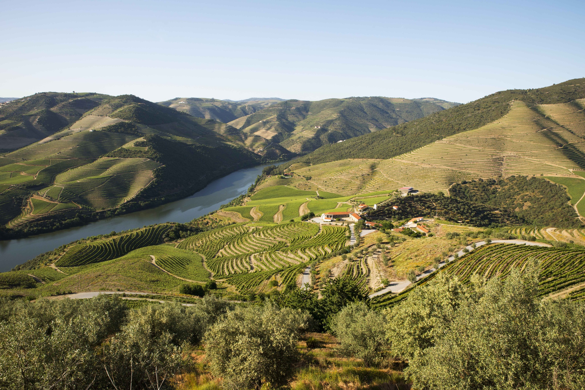 redes,premios,douro,vinho,fugas,porto,