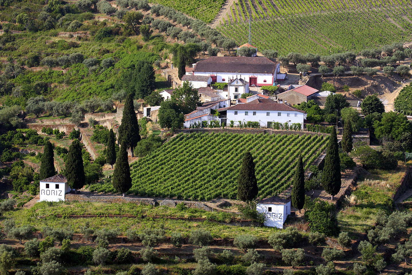 terroir,vinhos,douro,fugas,