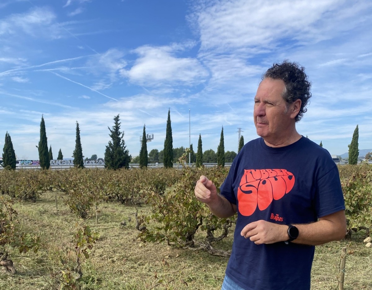 elogio-vinho,vinicultura,vinhos,douro,fugas,opiniao,