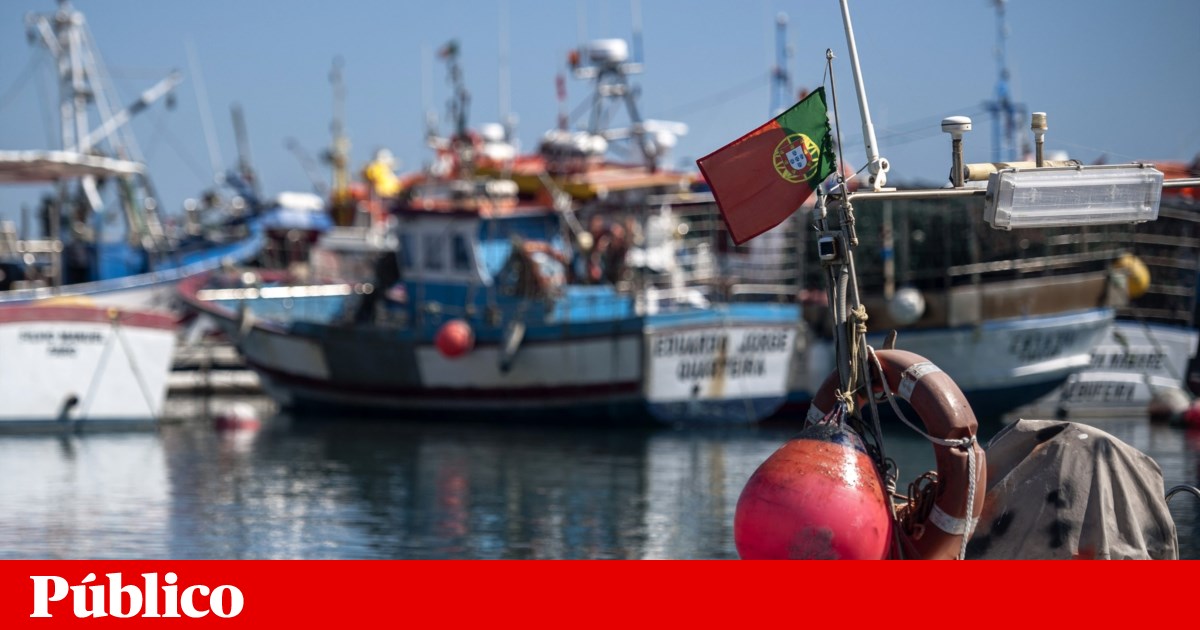 Algarve's Political Shake-Up: PS Holds Power as Chega's Hopes Fade in Local Elections