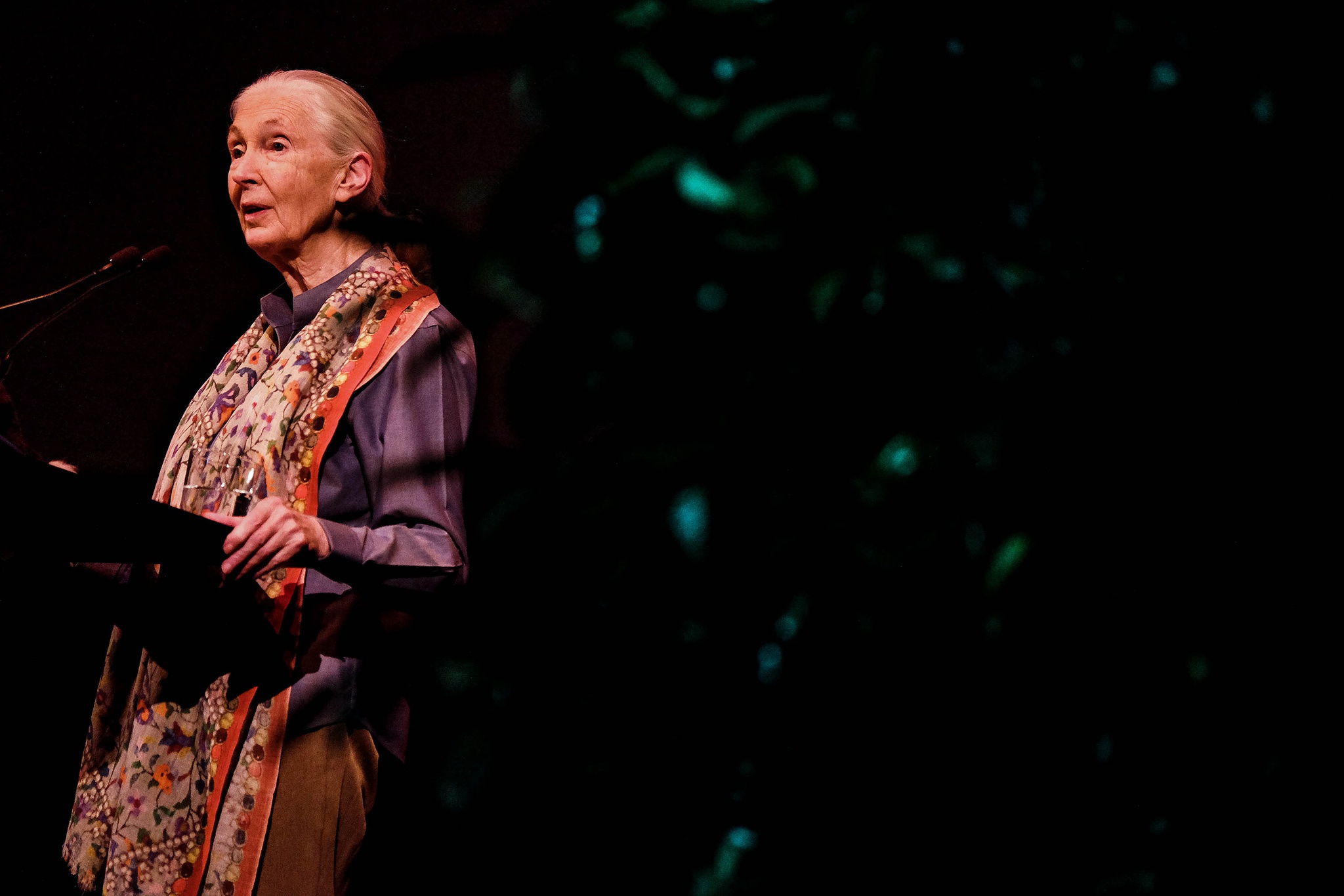artes-cultura-entretenimento,jane-goodall,animais,cronica,ambiente,chimpanzes,