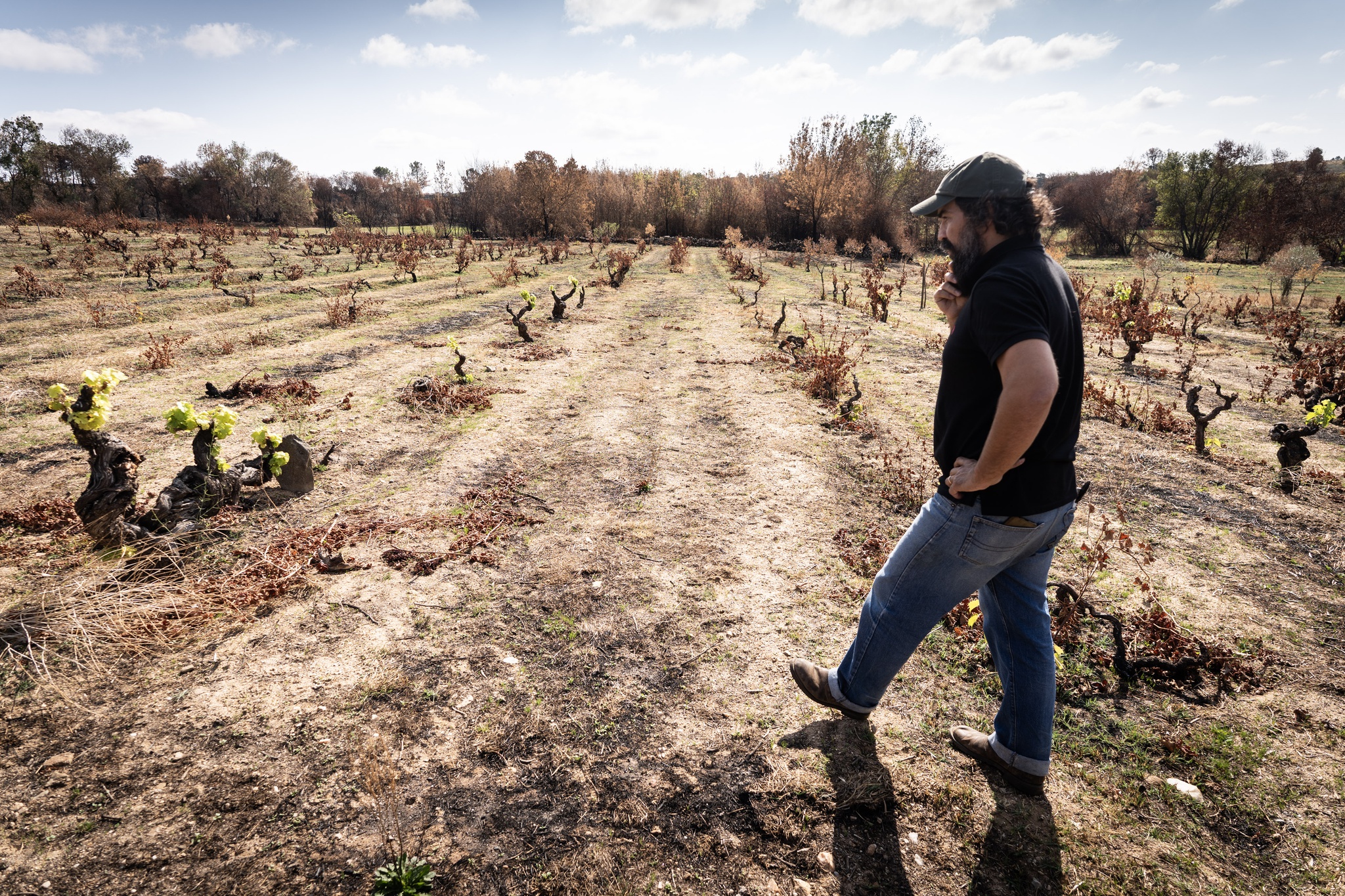 local,vinhos,douro,fugas,economia,agricultura,