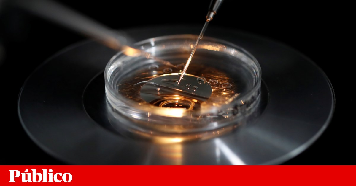 Os robôs estão a aprender a fazer bebés humanos — vinte já nasceram