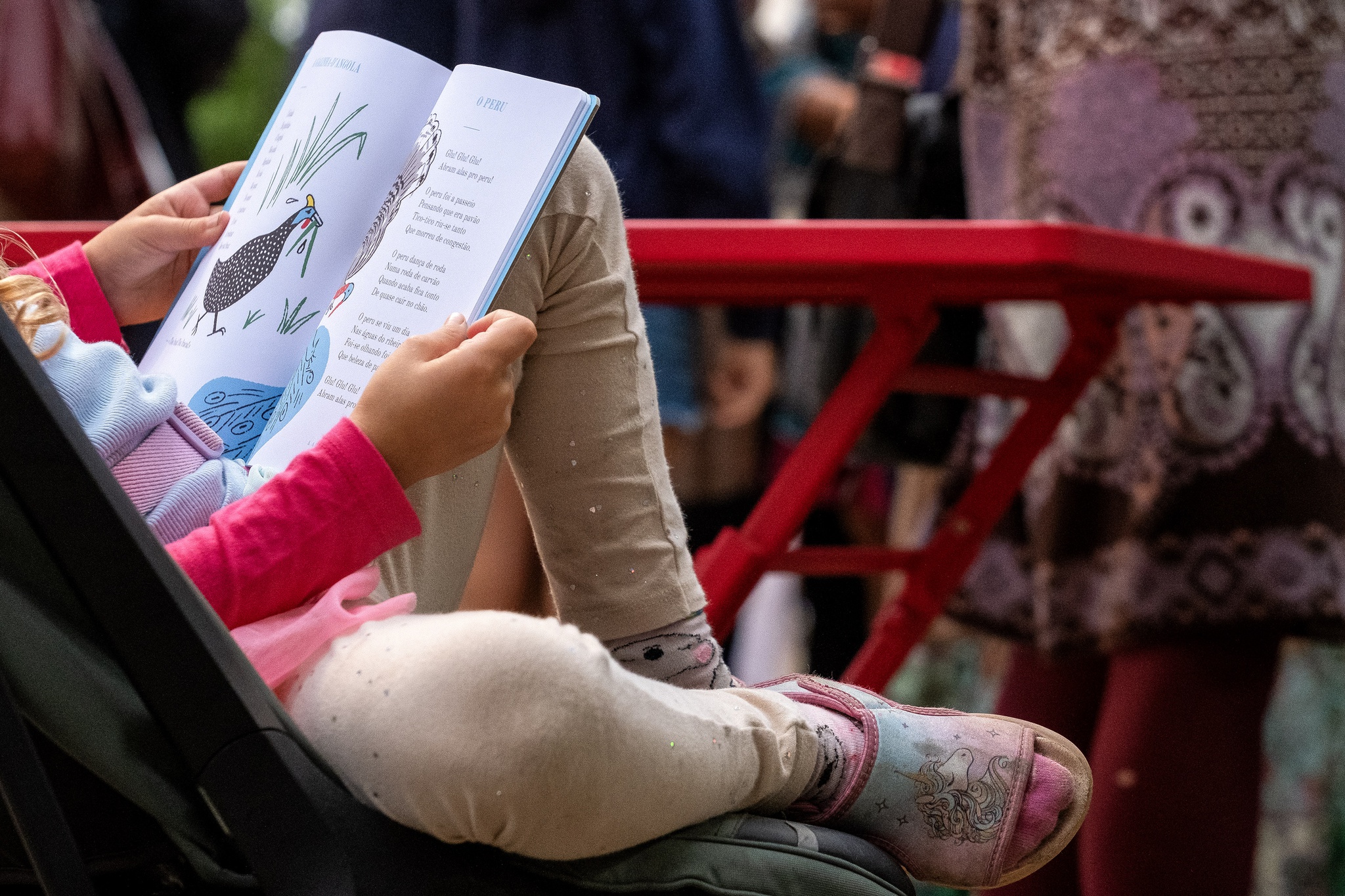 Manuel Roberto - 31 de Agosto de 2024 - PORTUGAL, Porto - Leitura de livros nos jardins do Palácio de Cristal