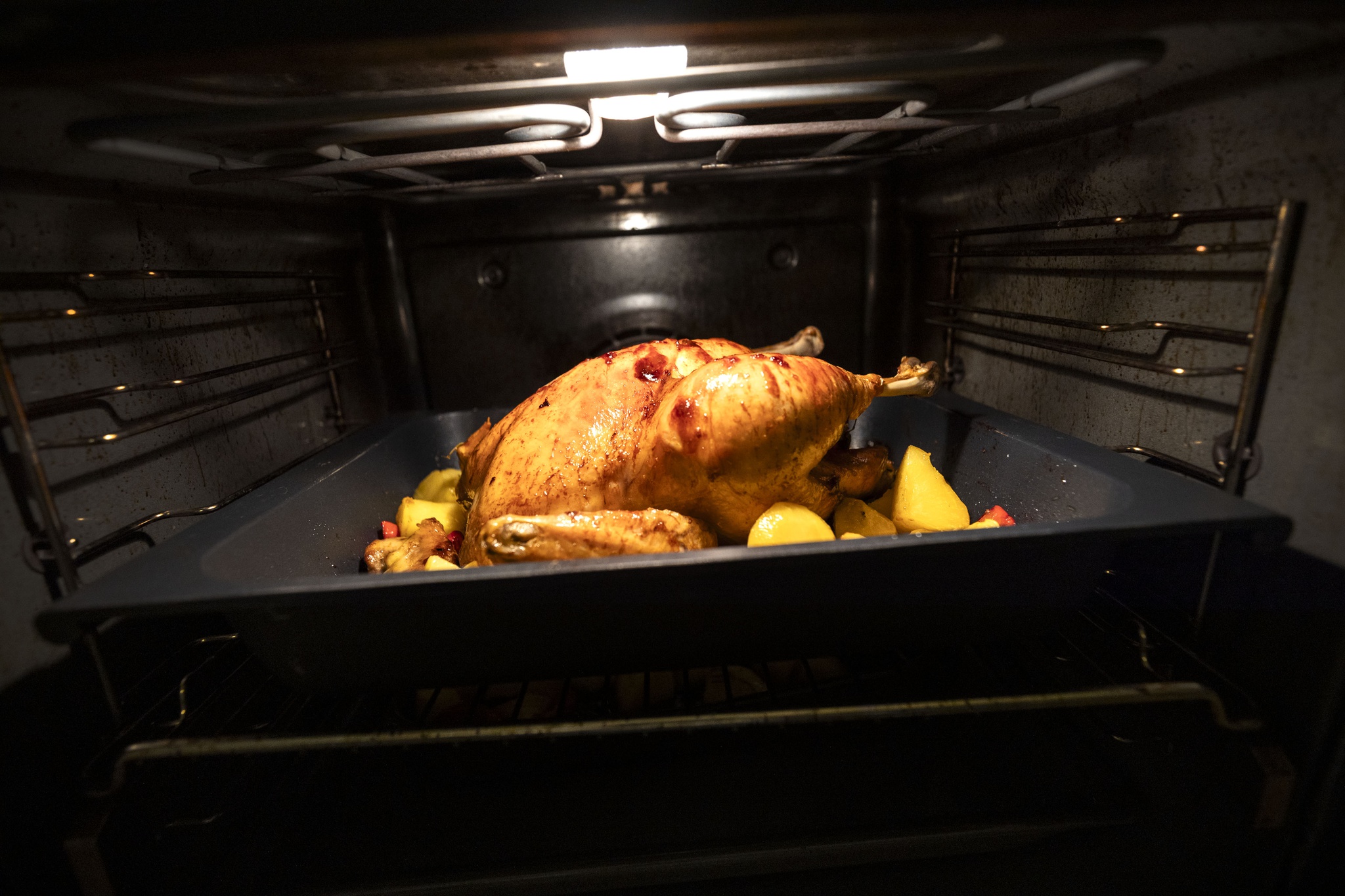 NEG nelson garrido - 15 Setembro 2023 - PORTUGAL, Vila Nova de Gaia - Frango assado no forno com batatas feito em casa - assados