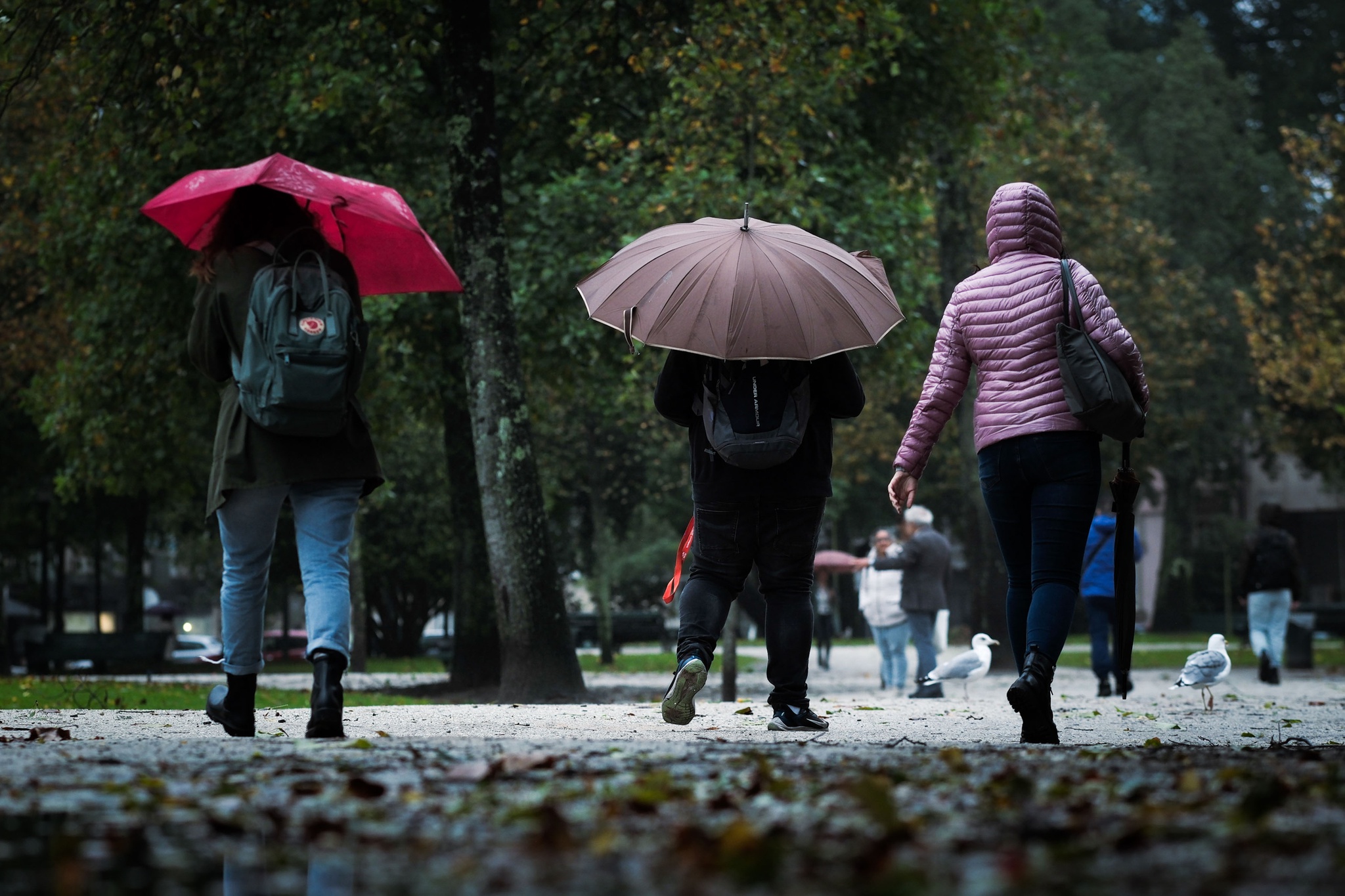 azul,chuva,ipma,portugal,meteorologia,clima,