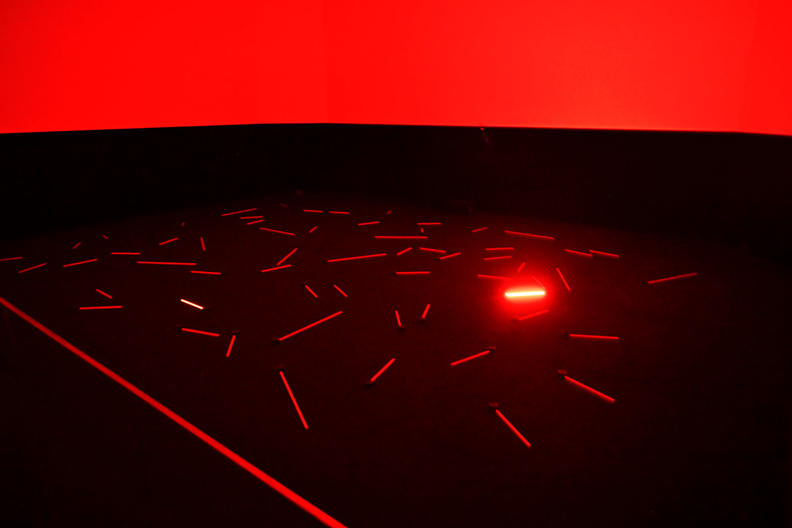 Capa de Começo, Meio, Começo de Cinthia Marcelle | Museu de Serralves, Porto