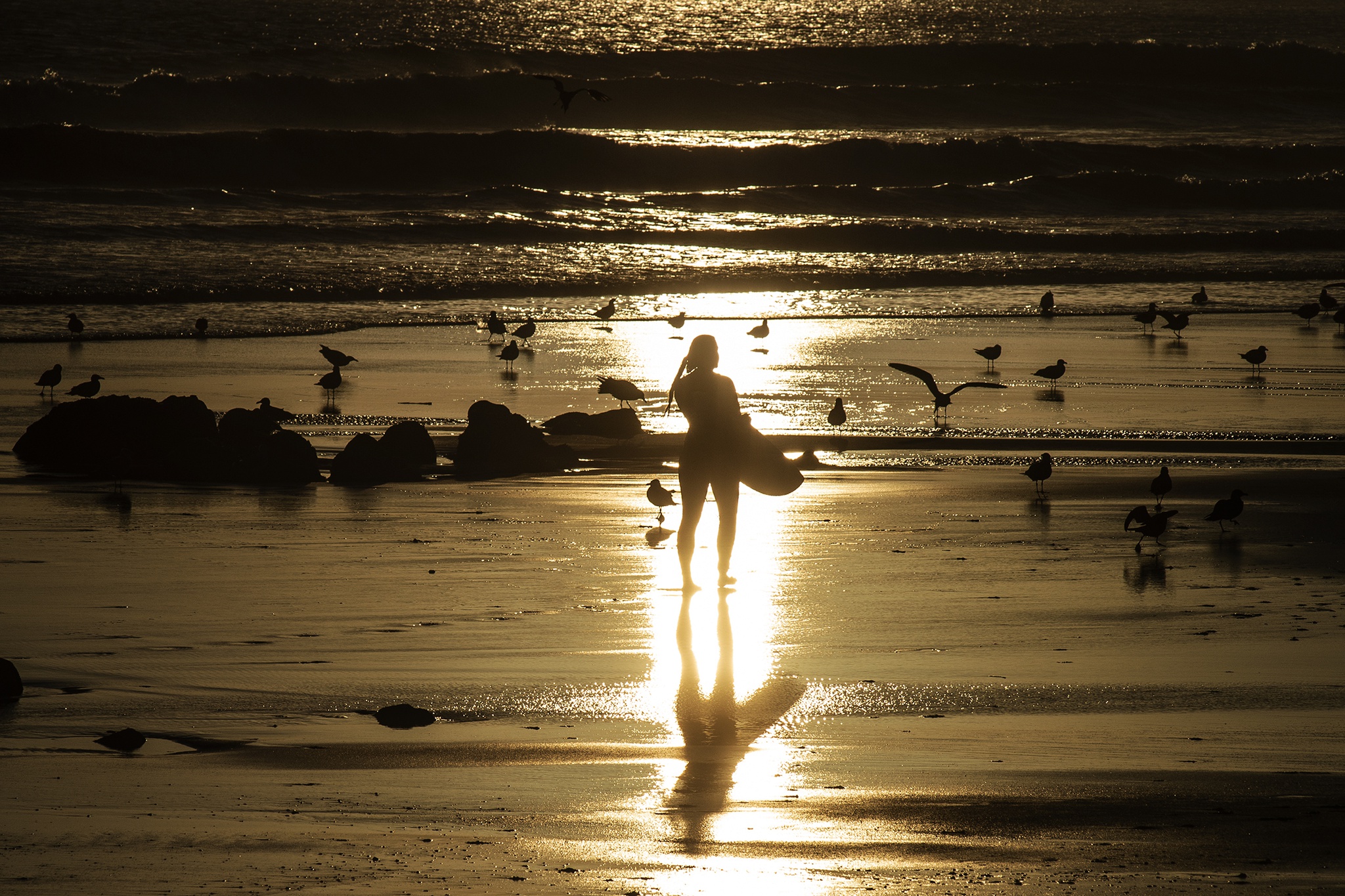 PP paulo pimenta - 28 julho 2018 - PORTUGAL, Matosinhos - praia - surfistas antes de irem para a agua - sessao de aquecimento - gaivotas - raparigas mulheres