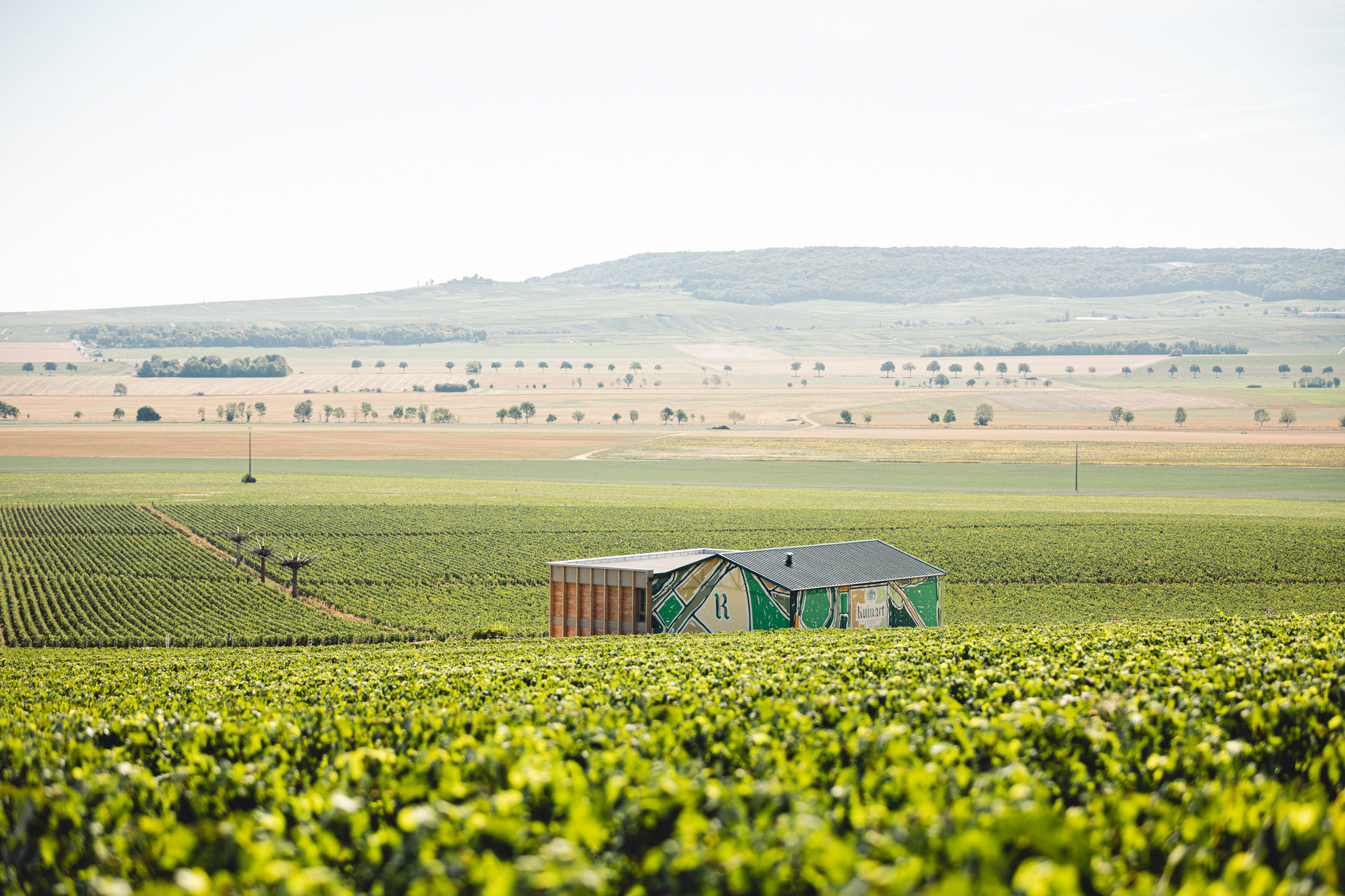 critica,vinhos,viagens,fugas,franca,alteracoes-climaticas,