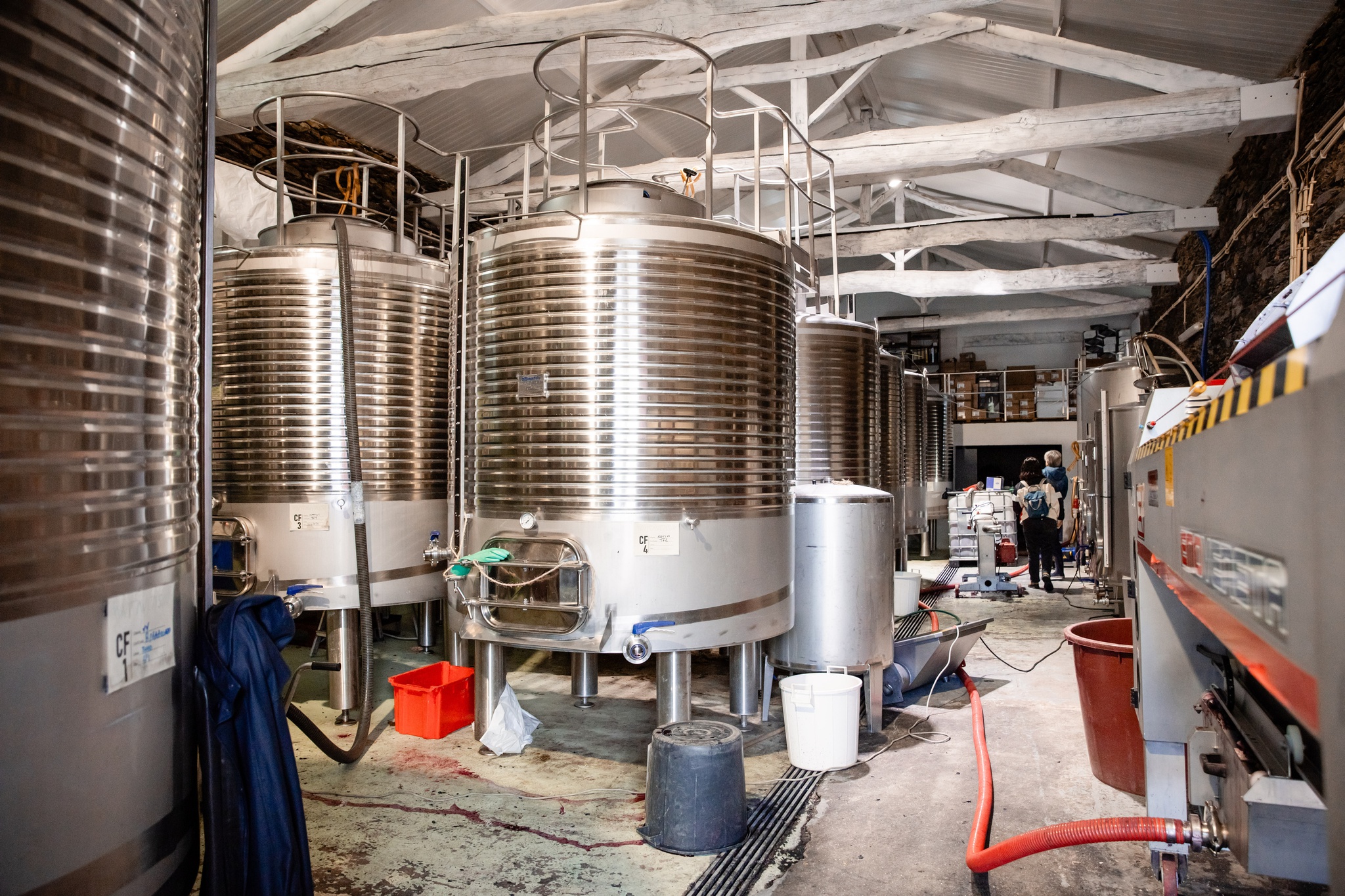 vinhos,douro,fugas,economia,agricultura,importacoes,