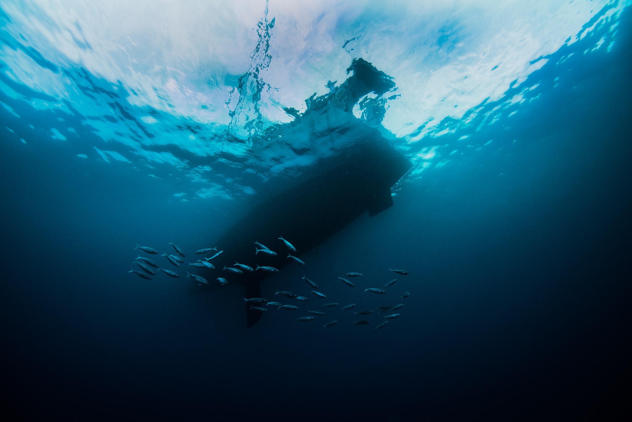 bemestar,fugas,acores,turismo,ambiente,oceanos,