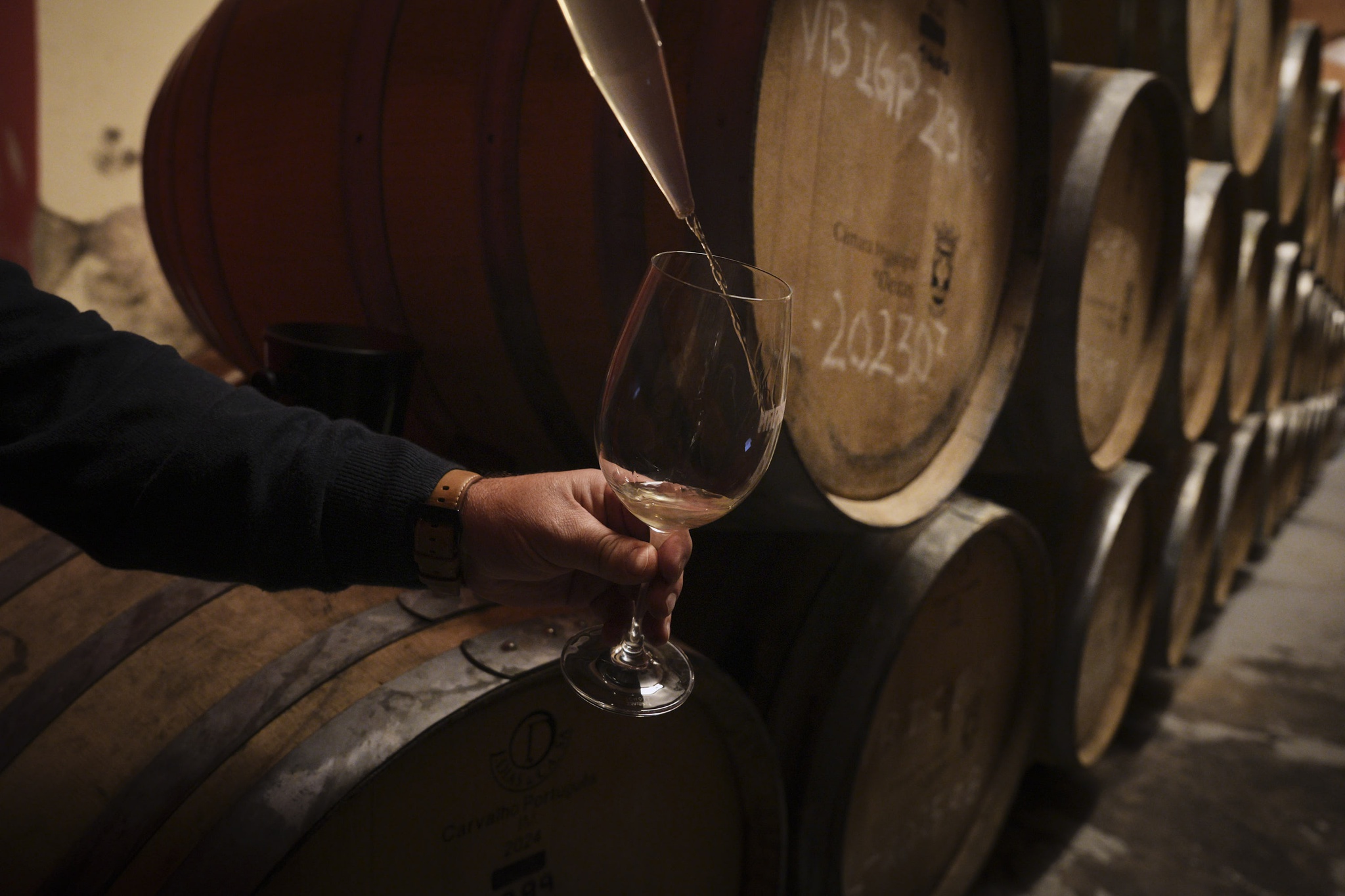 carcavelos,oeiras,enoturismo,historia,vinhos,fugas,