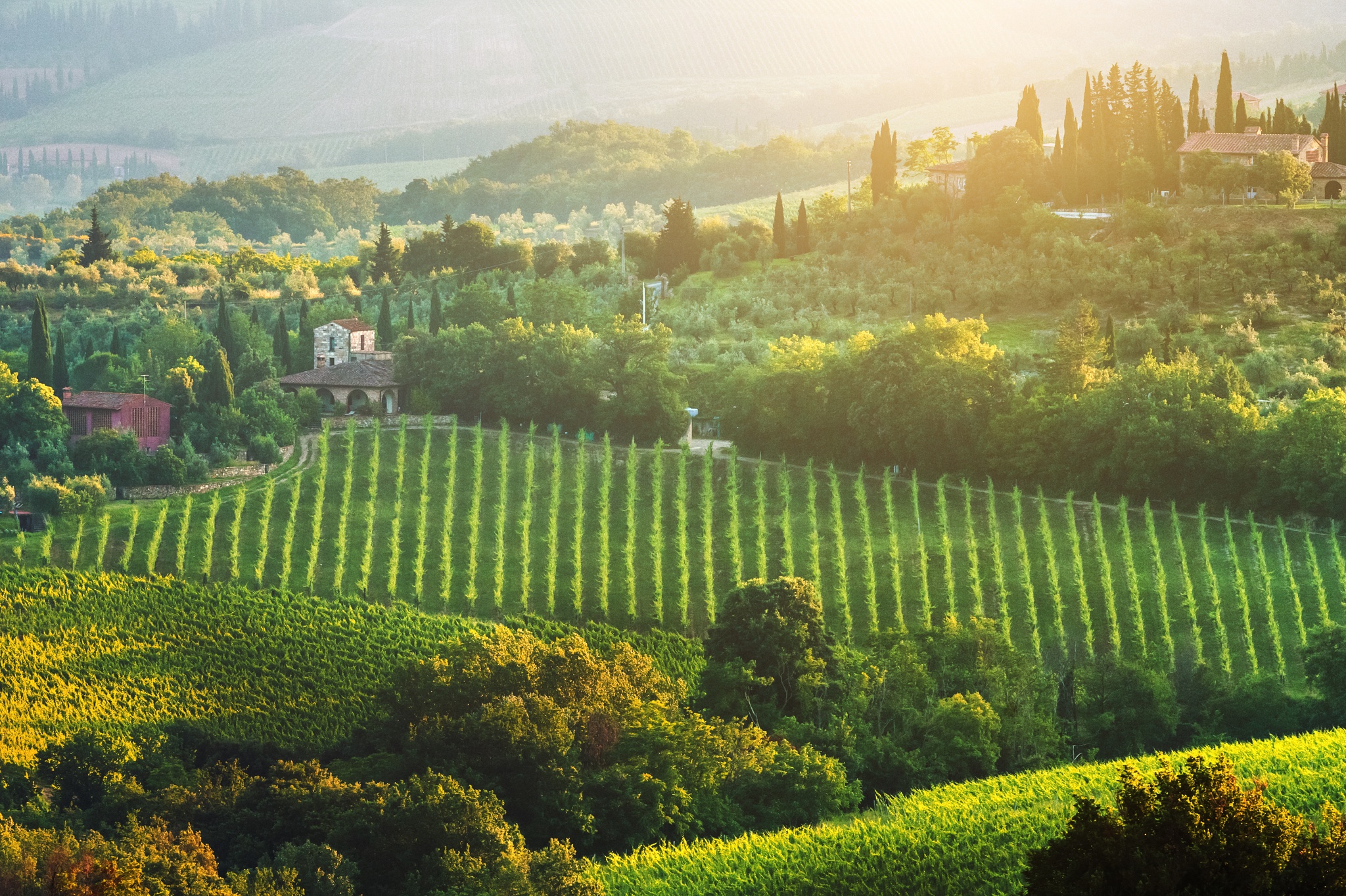 vinhas-,toscana,viagem-,vinhos,fugas,italia,