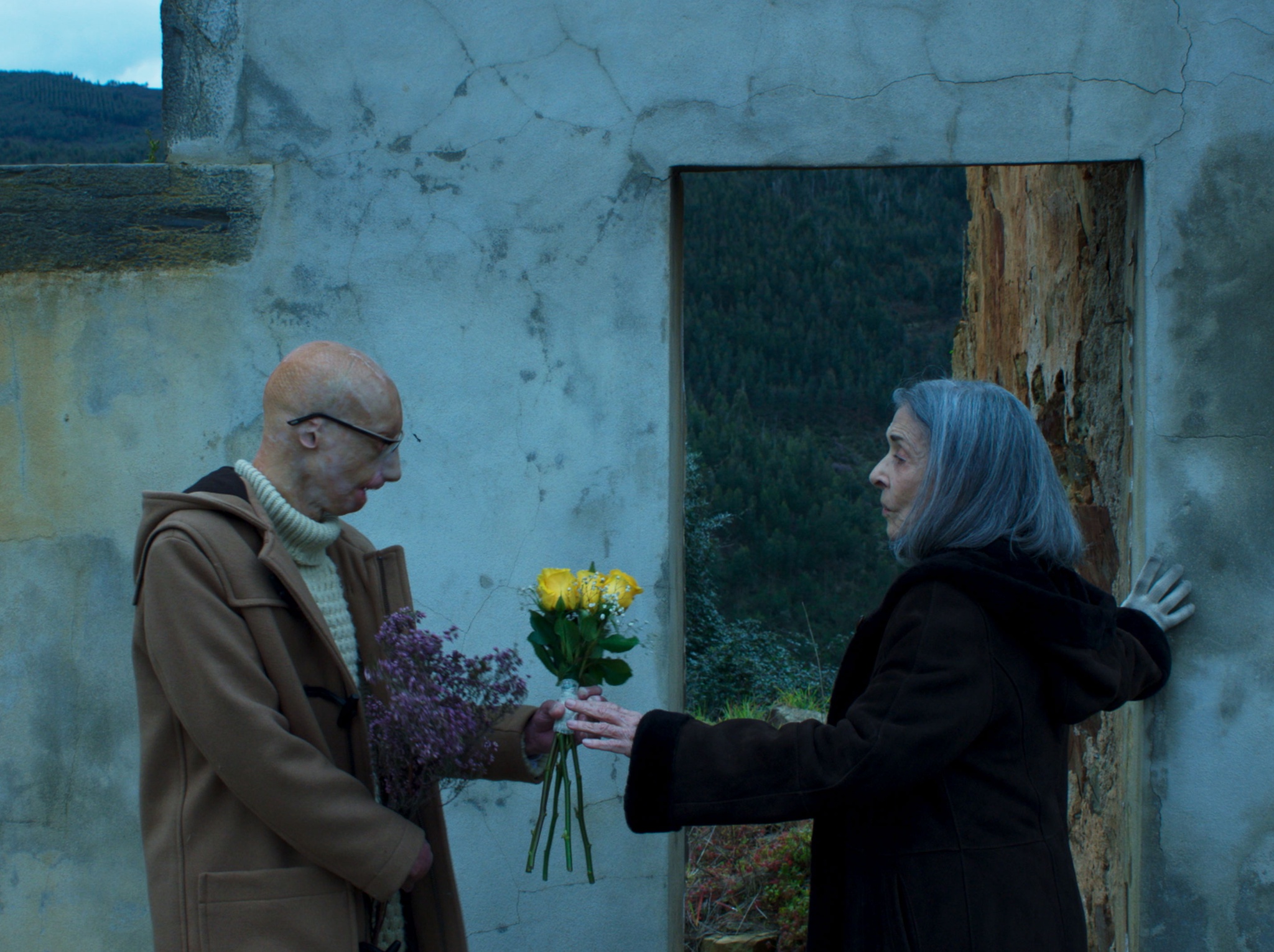 ipsilon,teresa-villaverde,televisao,cinema,culturaipsilon,brasil,