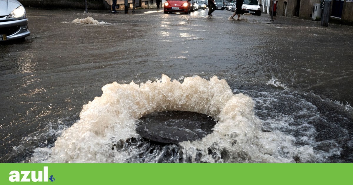 What is missing from the climate adaptation strategy? Funding, timeline, and binding targets, says Zero