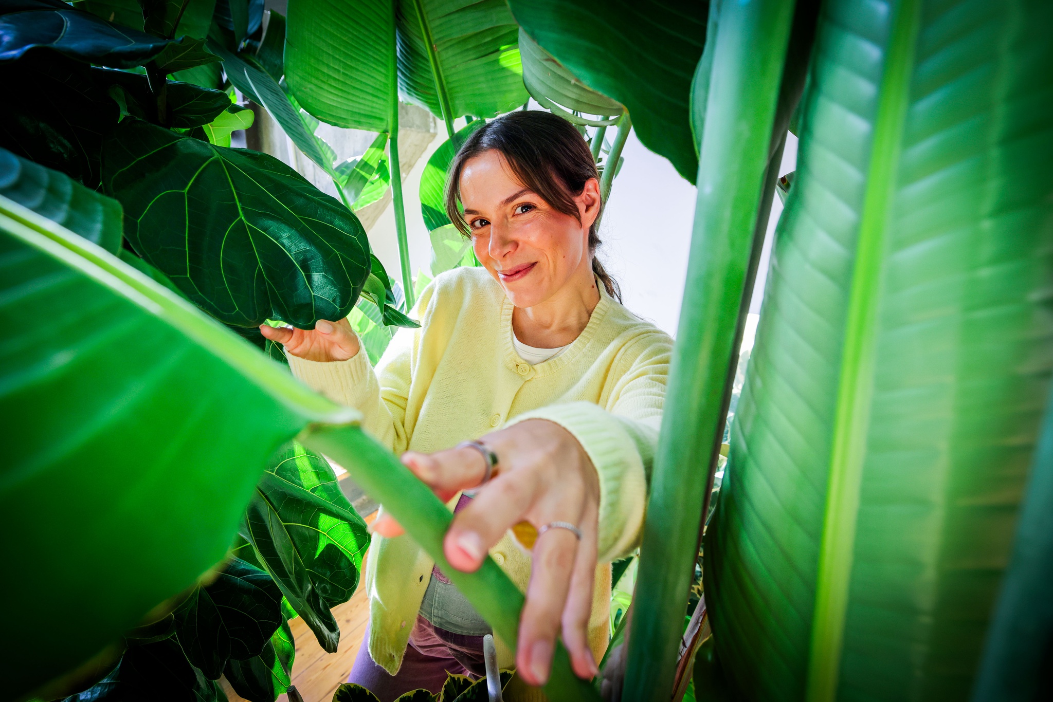 protagonista,bemestar,impar,plantas,sustentabilidade,ambiente,