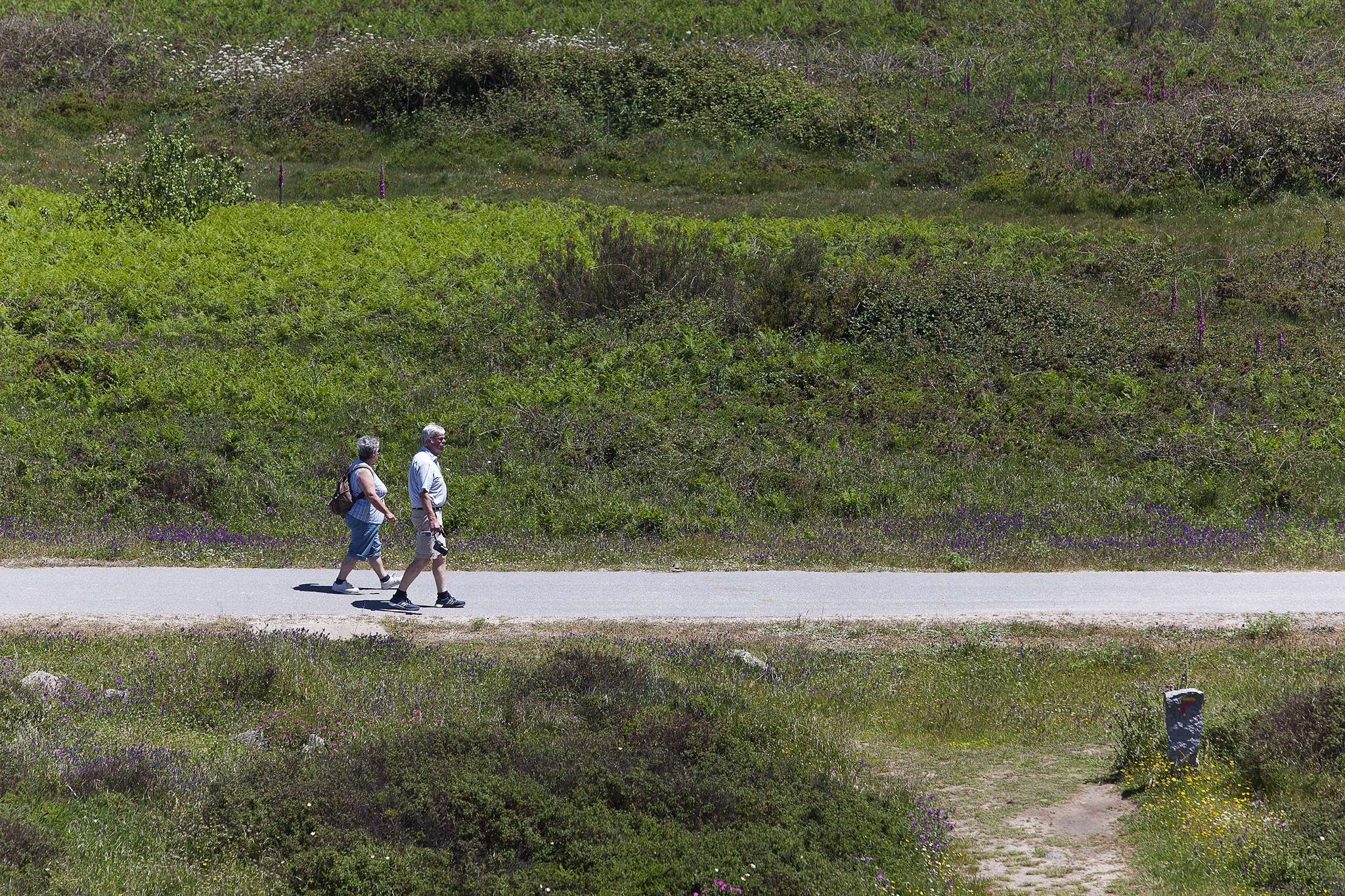 caminhadas,percursos-pedestres,natureza,passeios,fugas,algarve,