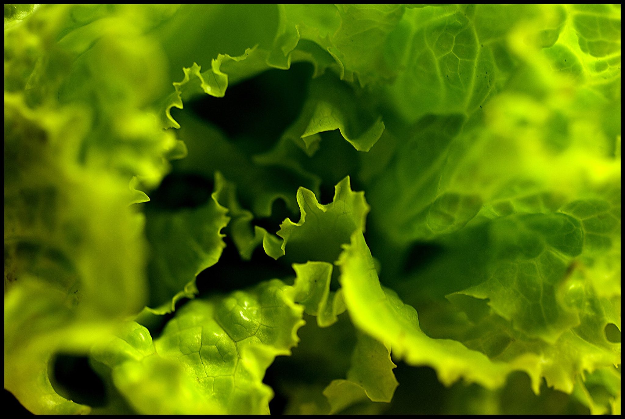 gato-botas,alimentacao,gastronomia,cronica,fugas,