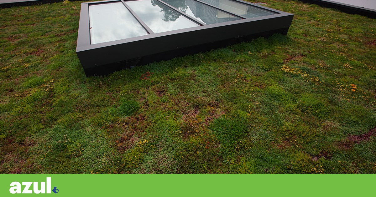 Government creates credit line to support families in combating energy poverty