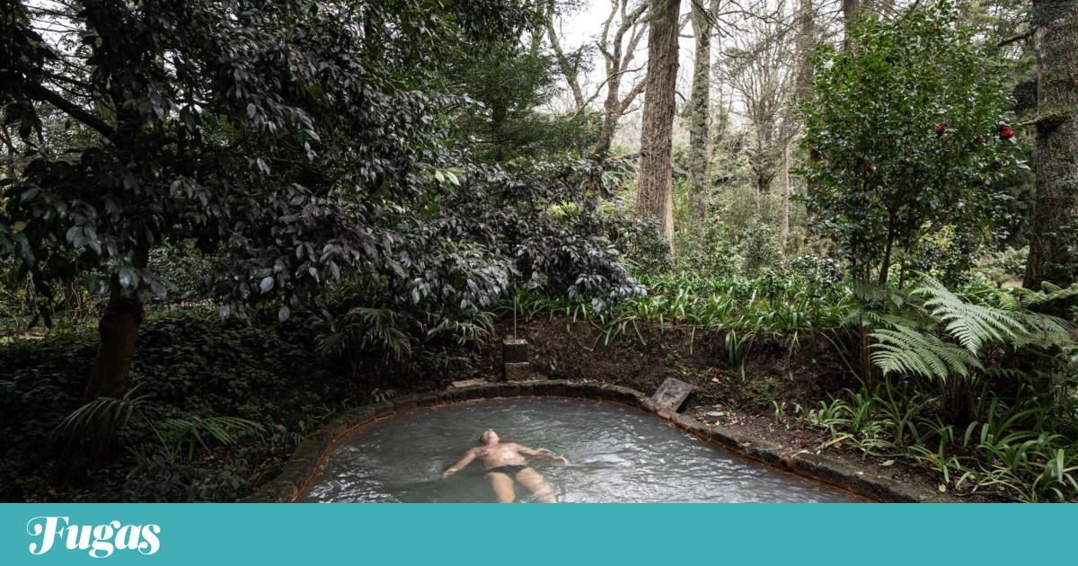 From thermal baths to the culinary scene, São Miguel takes on a new charm in winter