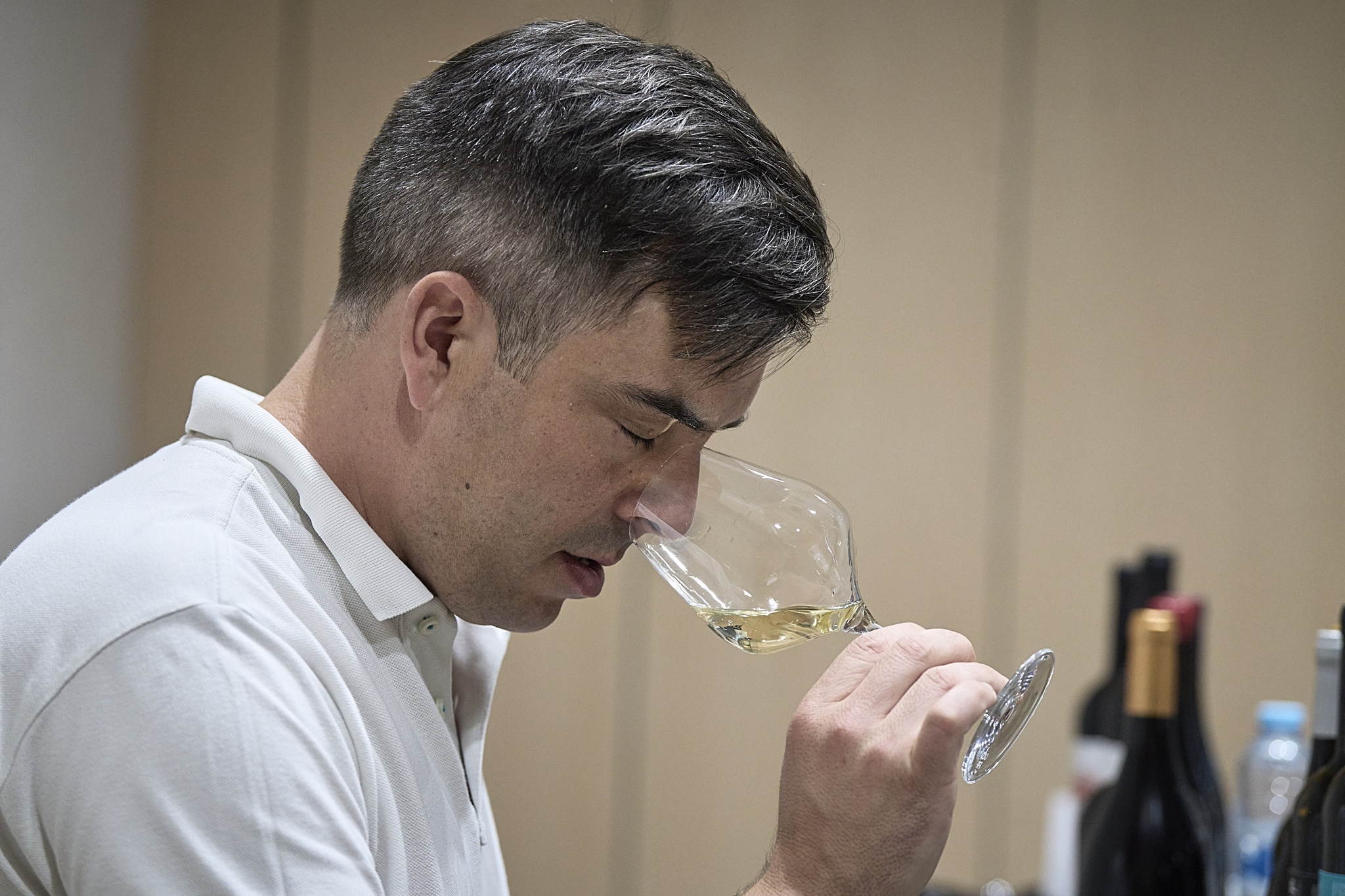 terroir,critica,vinhos,vinhos-provas,fugas,alentejo,