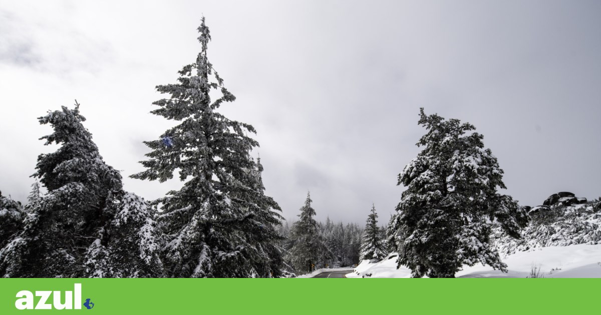 Winter begins with snowfall, rough seas and an orange warning in 11 districts