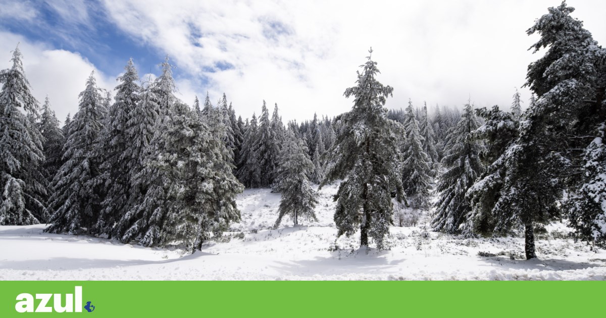 Year-end marked by cold, frost and possible snow in the Serra da Estrela