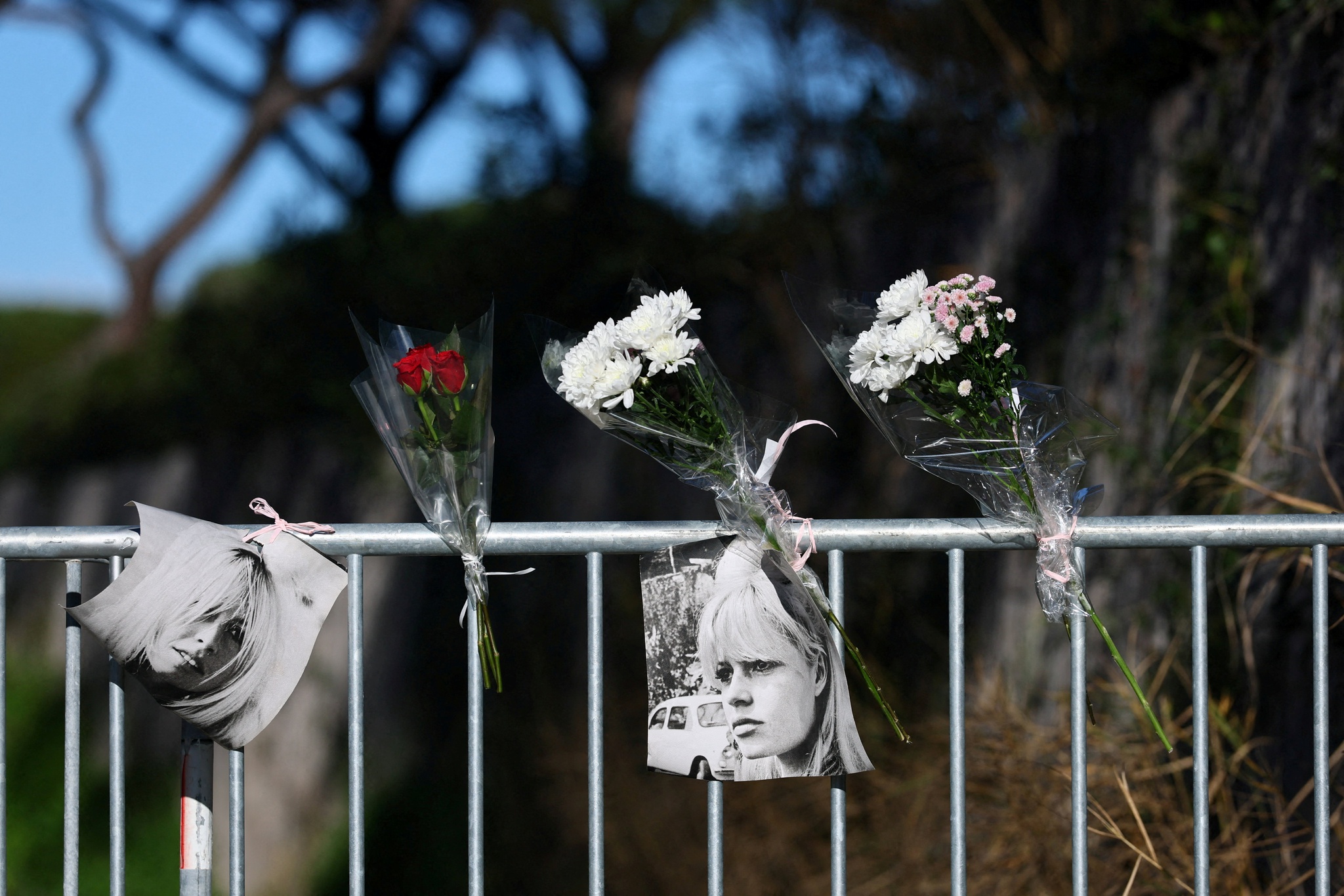 Funeral de Brigitte Bardot marcado para 7 de Janeiro em Saint-Tropez |  Cinema | PÚBLICO