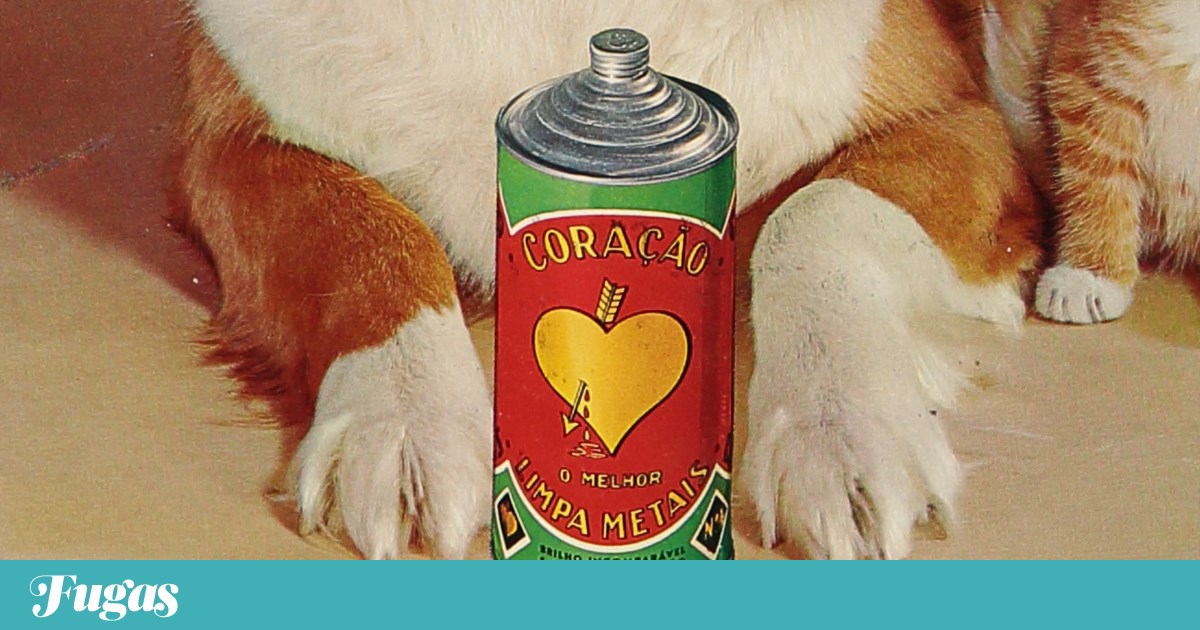 What to do? Friday is a day to embrace the classics and nostalgia